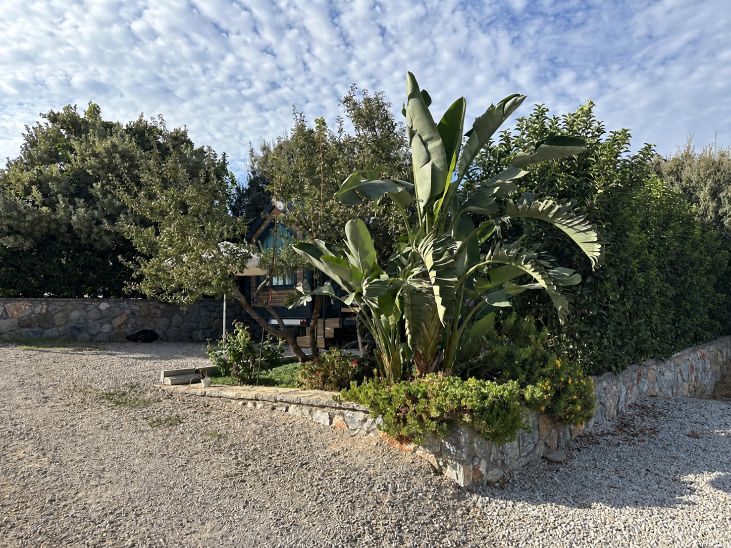 Muz bitkileri ve taş duvarlı bahçe arkasındaki tiny house
